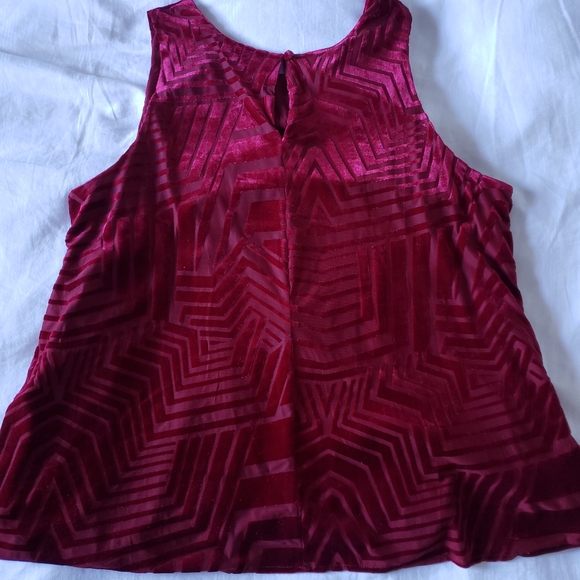 Anthropologie Velvet and Chiffon Tank - Picture 2 of 4